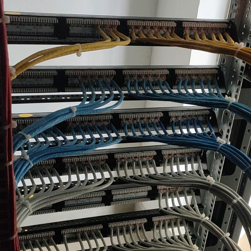 我的快乐我做主