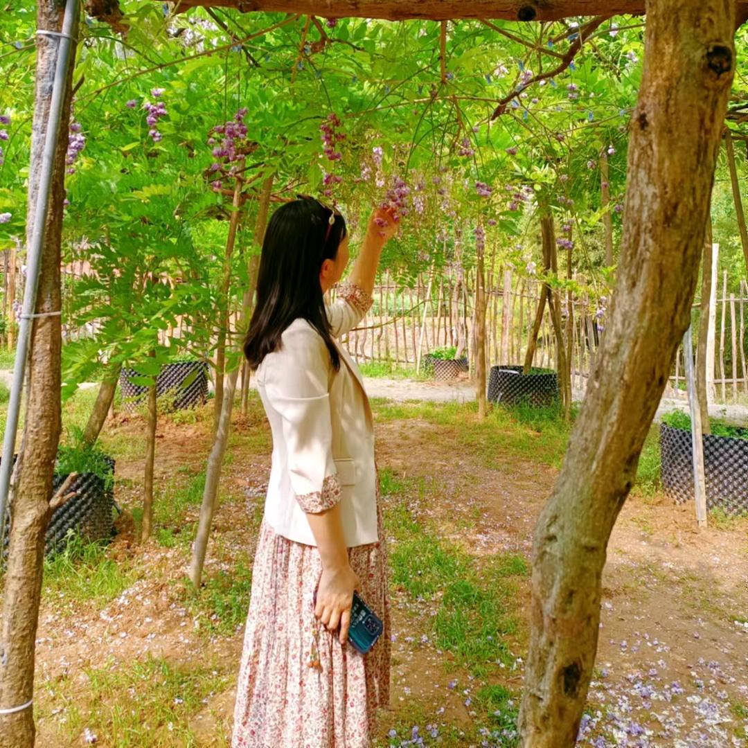 夏春秋冬