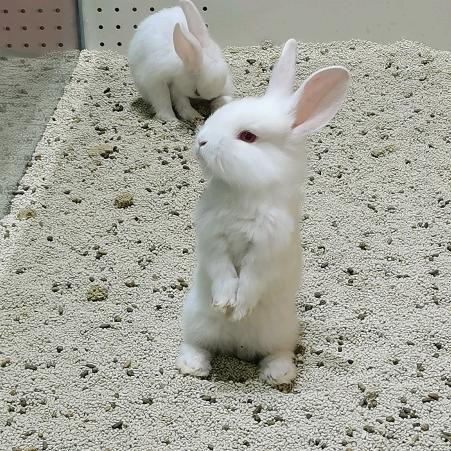 小滢小滢吃不胖