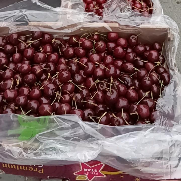 优享果品供应链