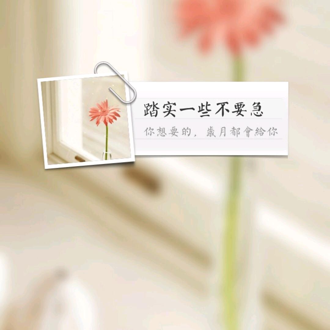 向日葵🌻🌻🌻