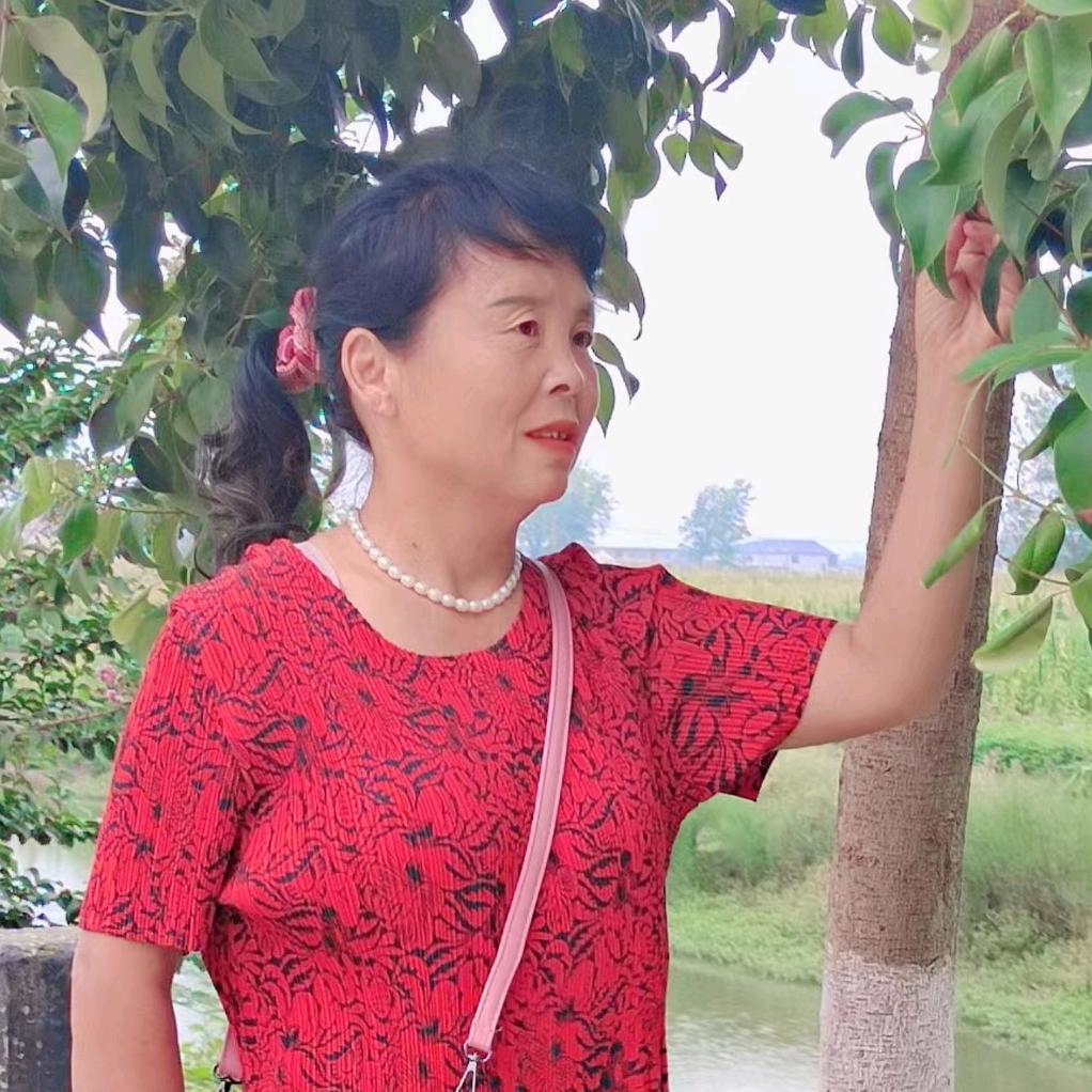 杨庙电话棺材销售