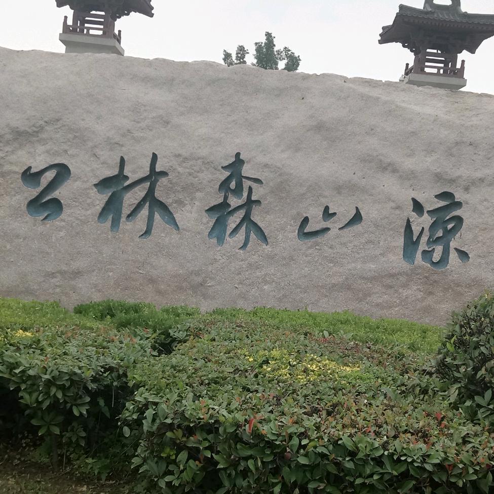 平淡人生