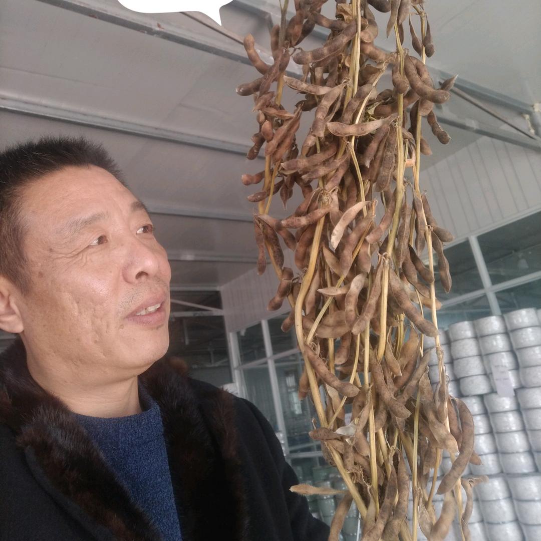 坔育种业（江苏殷开桥）