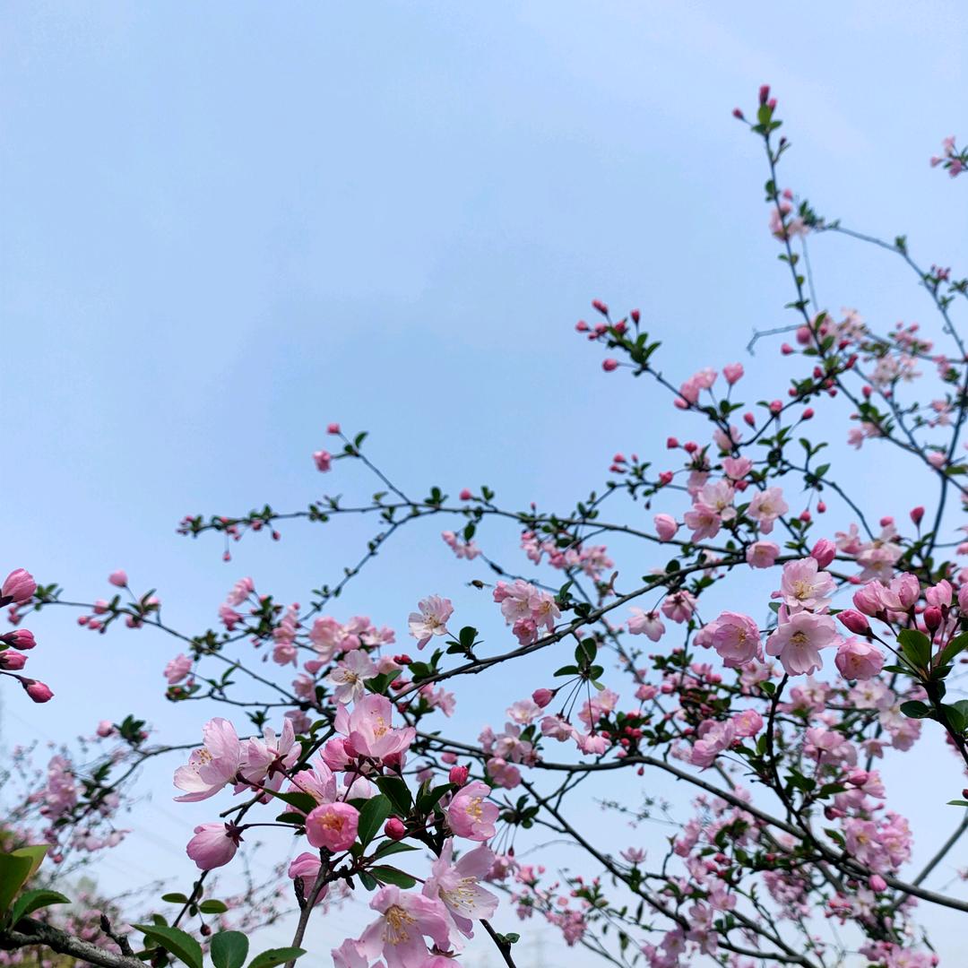 炭烤小肥杨皓皓