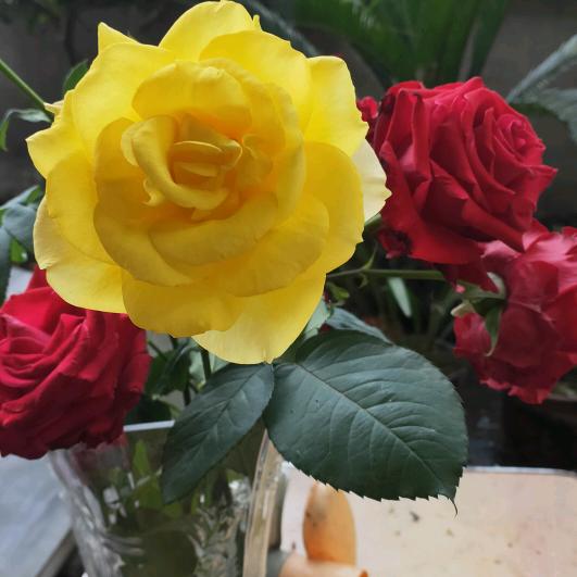 🌈🍀🌈爱与幸运！💐🌻