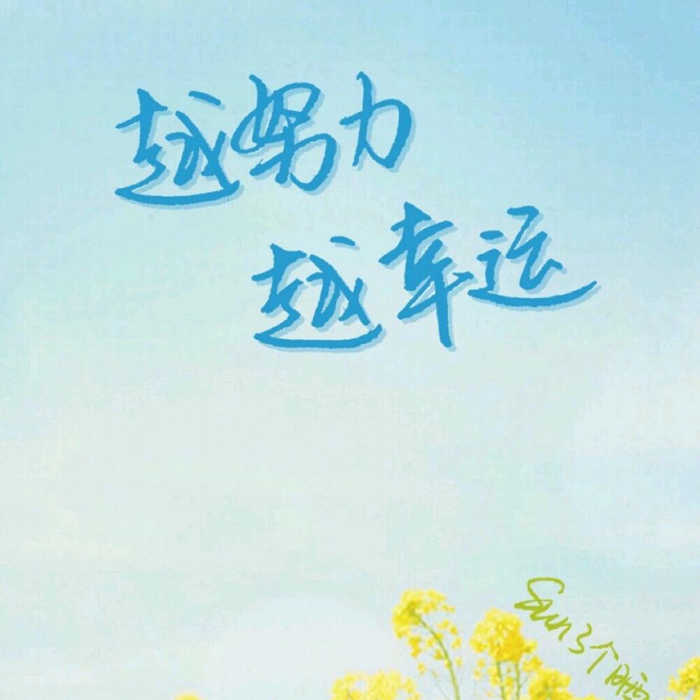小十一橙子🍊