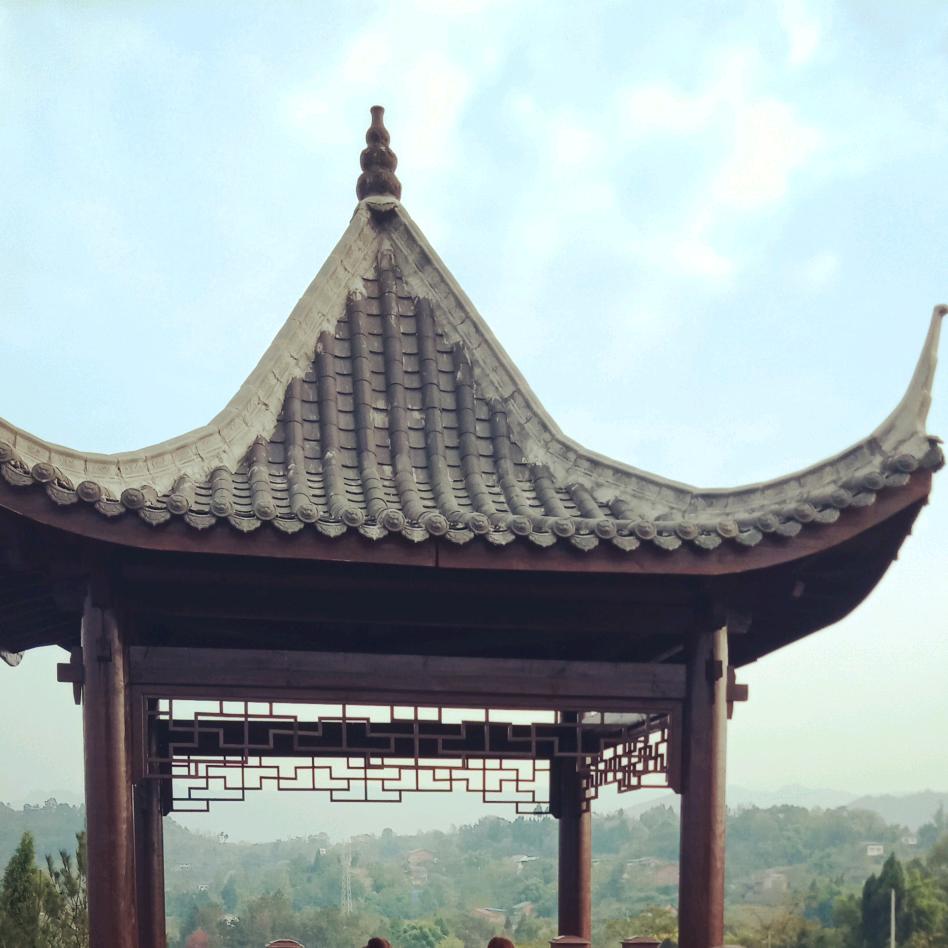 三哥(直播正在筹备中)