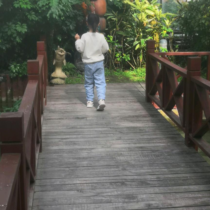 罗