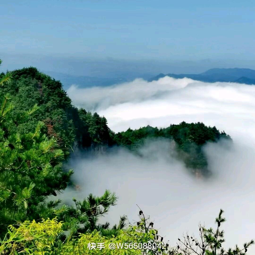 晨风在路上