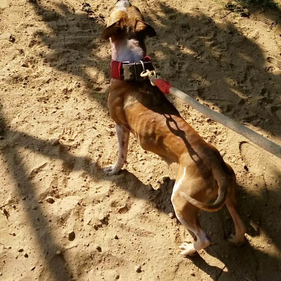 低调做人、高调做事