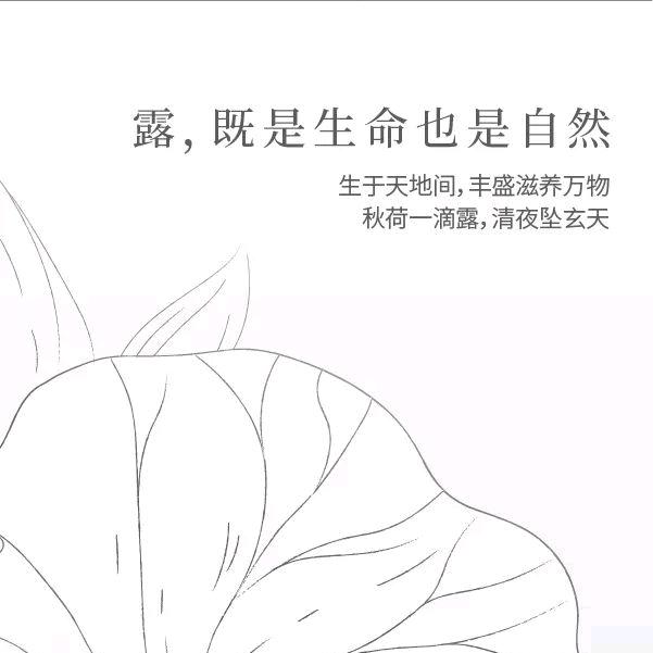 快乐的橱窗