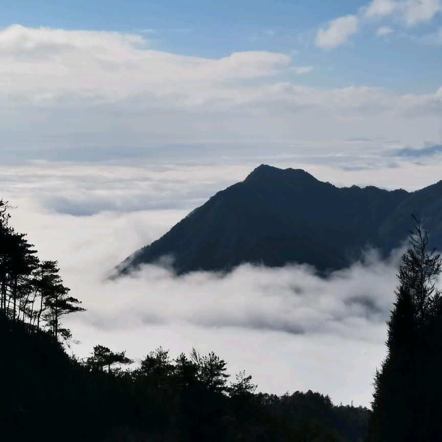 泰山
