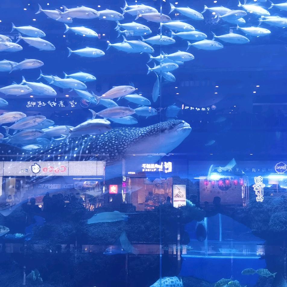 袜子纯棉100%全棉防臭