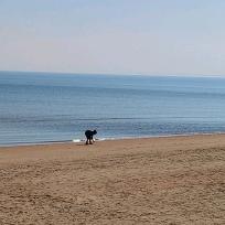 人世浮华不过梦一场