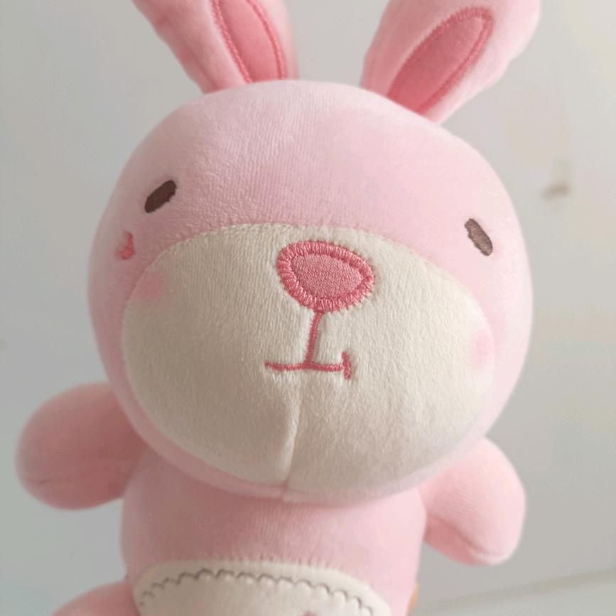 糖葫芦味的山楂