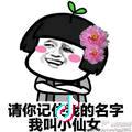 袁菇凉