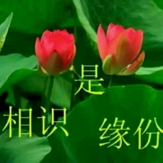 快乐人生