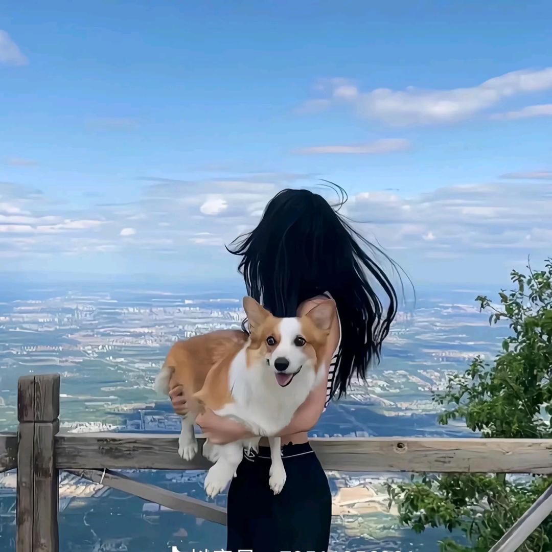 兜风百香果
