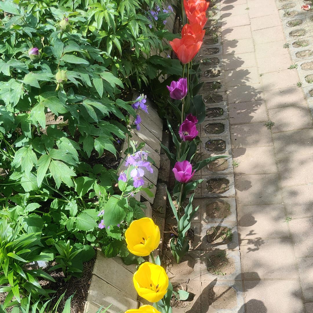 随心随缘