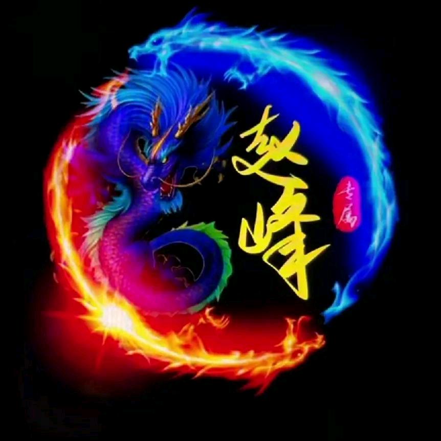 赵峰，《回族》自由梦