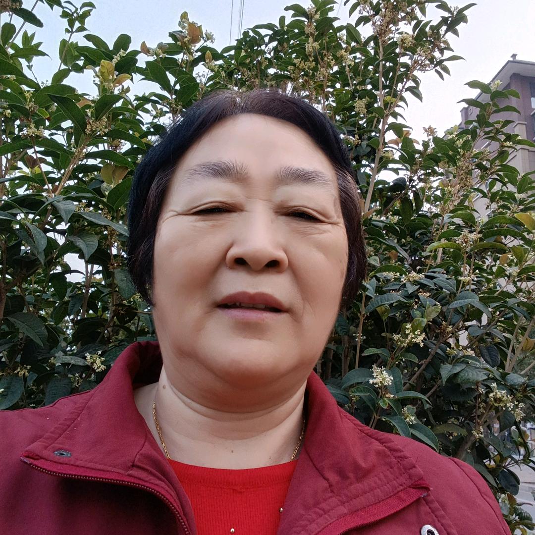重庆陆姐