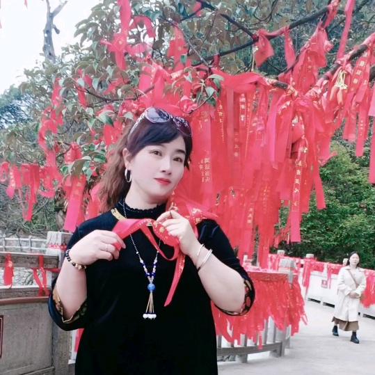 燕子🕊封❤️锁🔒爱