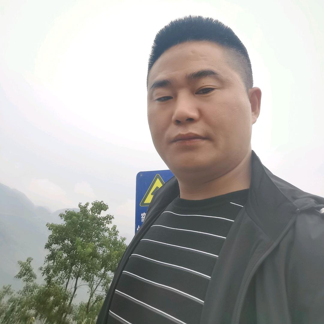 陶卫