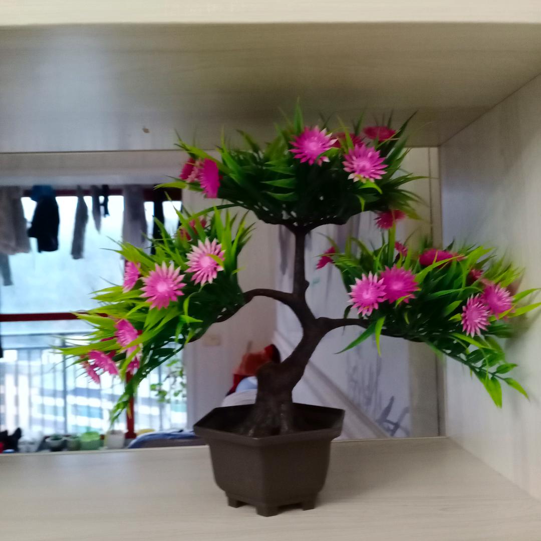 林华