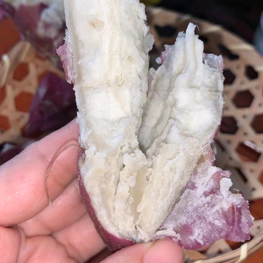 元门向民慧芳家地瓜