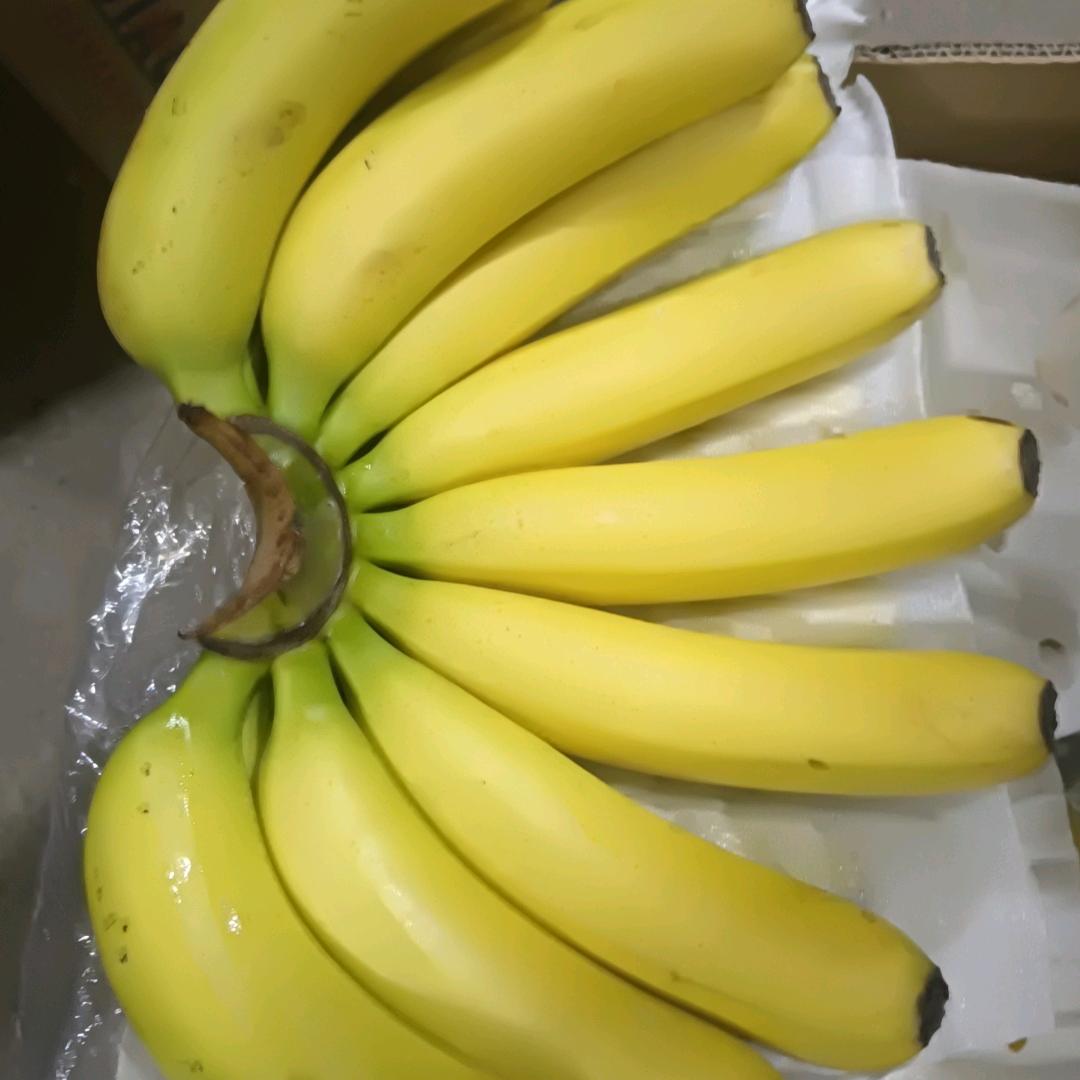 娟子果蔬