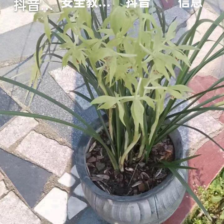 不听