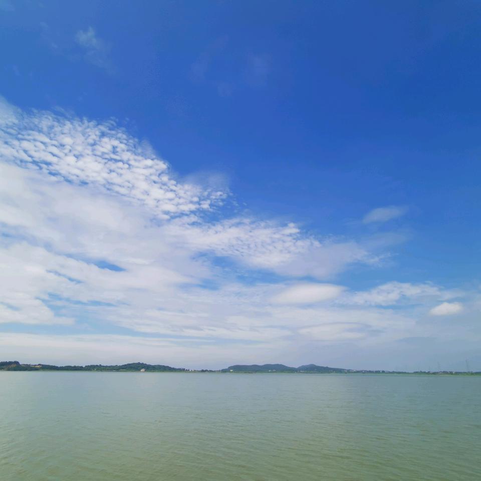 死了都要爱