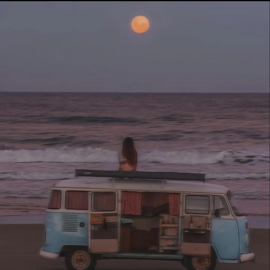 🌻樱桃小丸子🍒