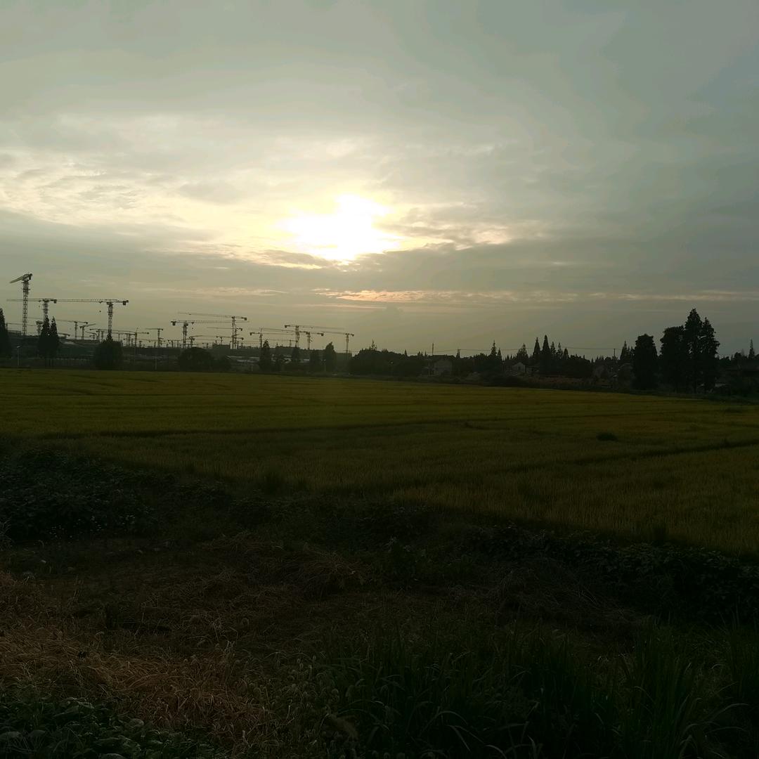 笑看风云2099