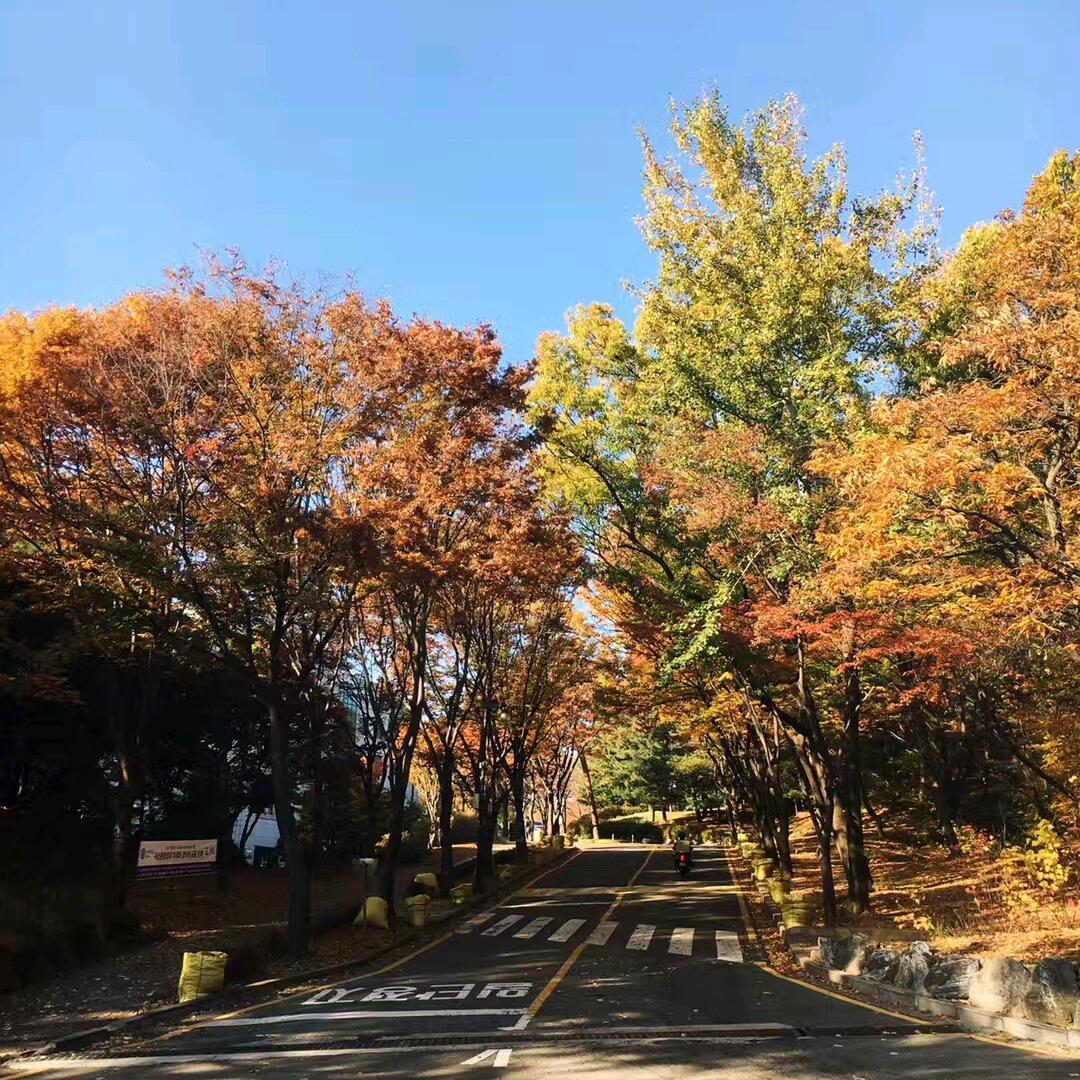 梦静