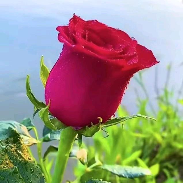 🥀এ᭄不必 ꦿ谁💔懂我ོ࿐ᩚ