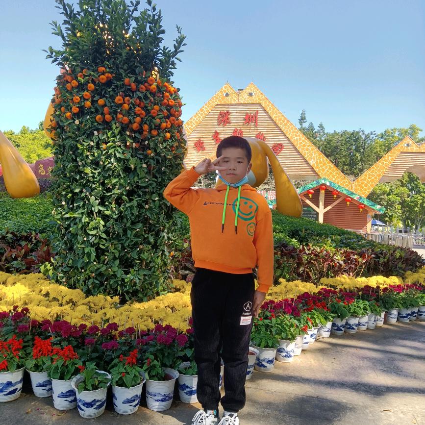 快乐小飞扬