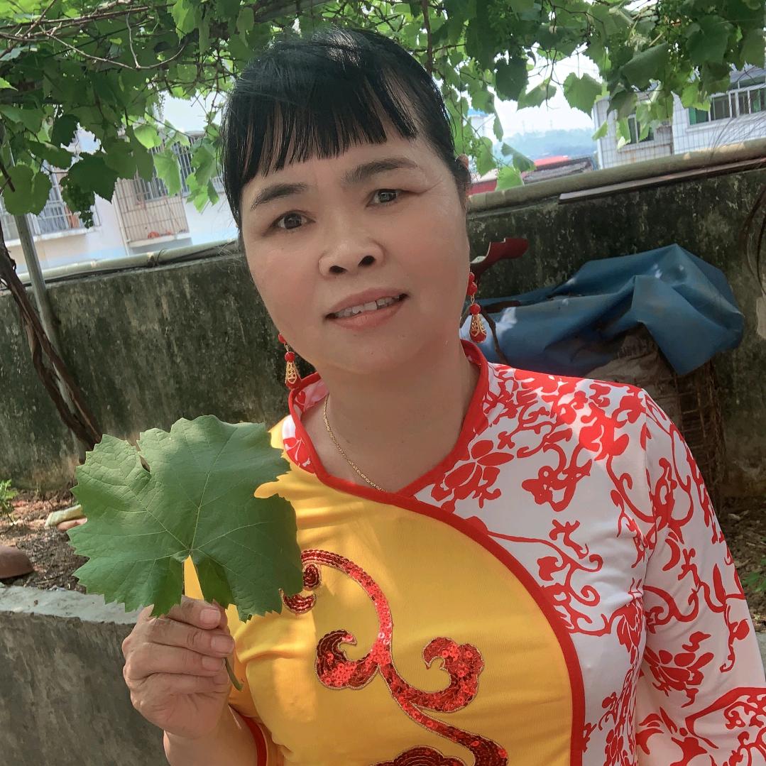 风景树