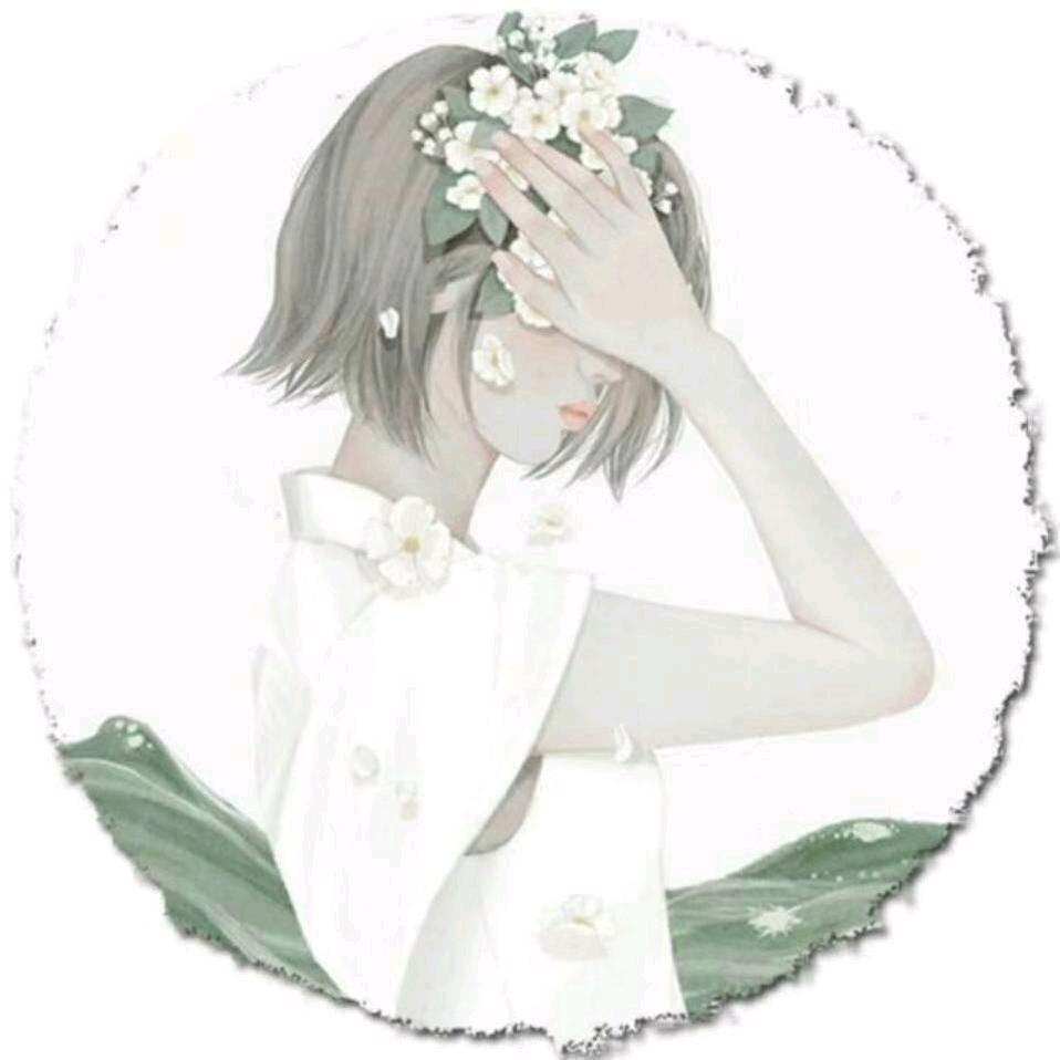朵儿