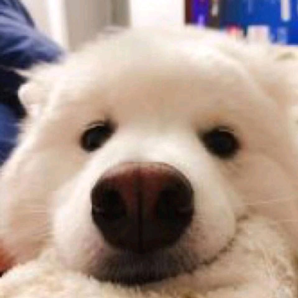 胖猴不胖