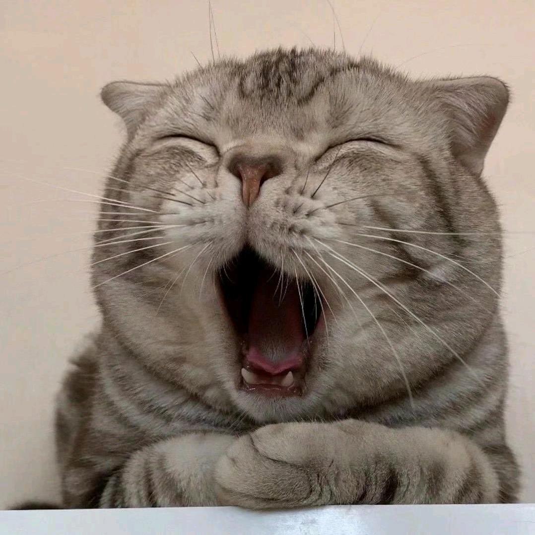 睡不醒（努力赚钱版）