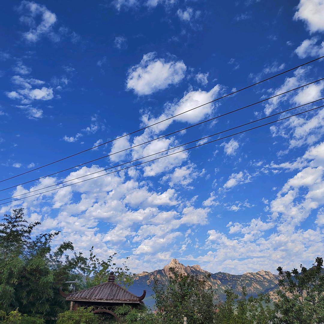 中草药洗发水+无钢圈无海绵内衣