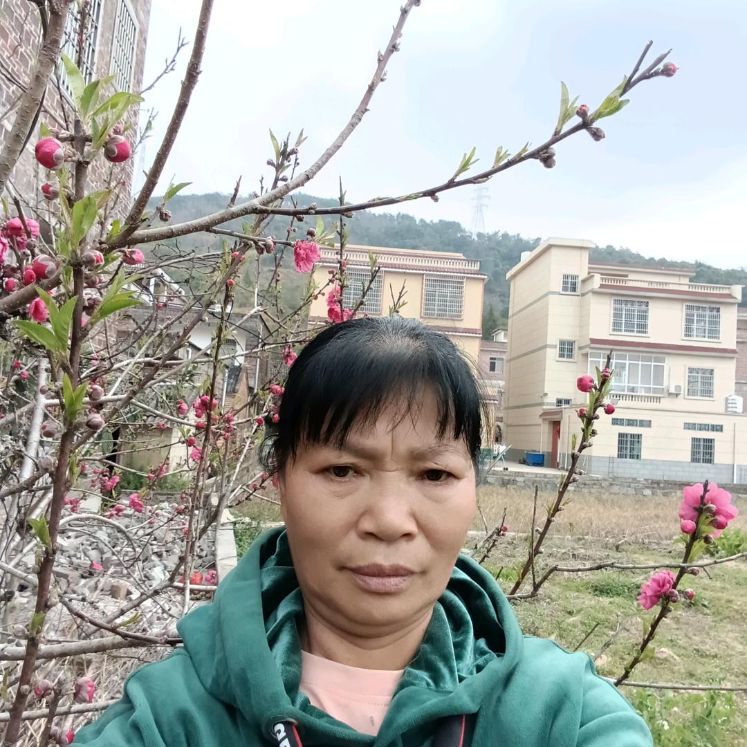 柠檬123