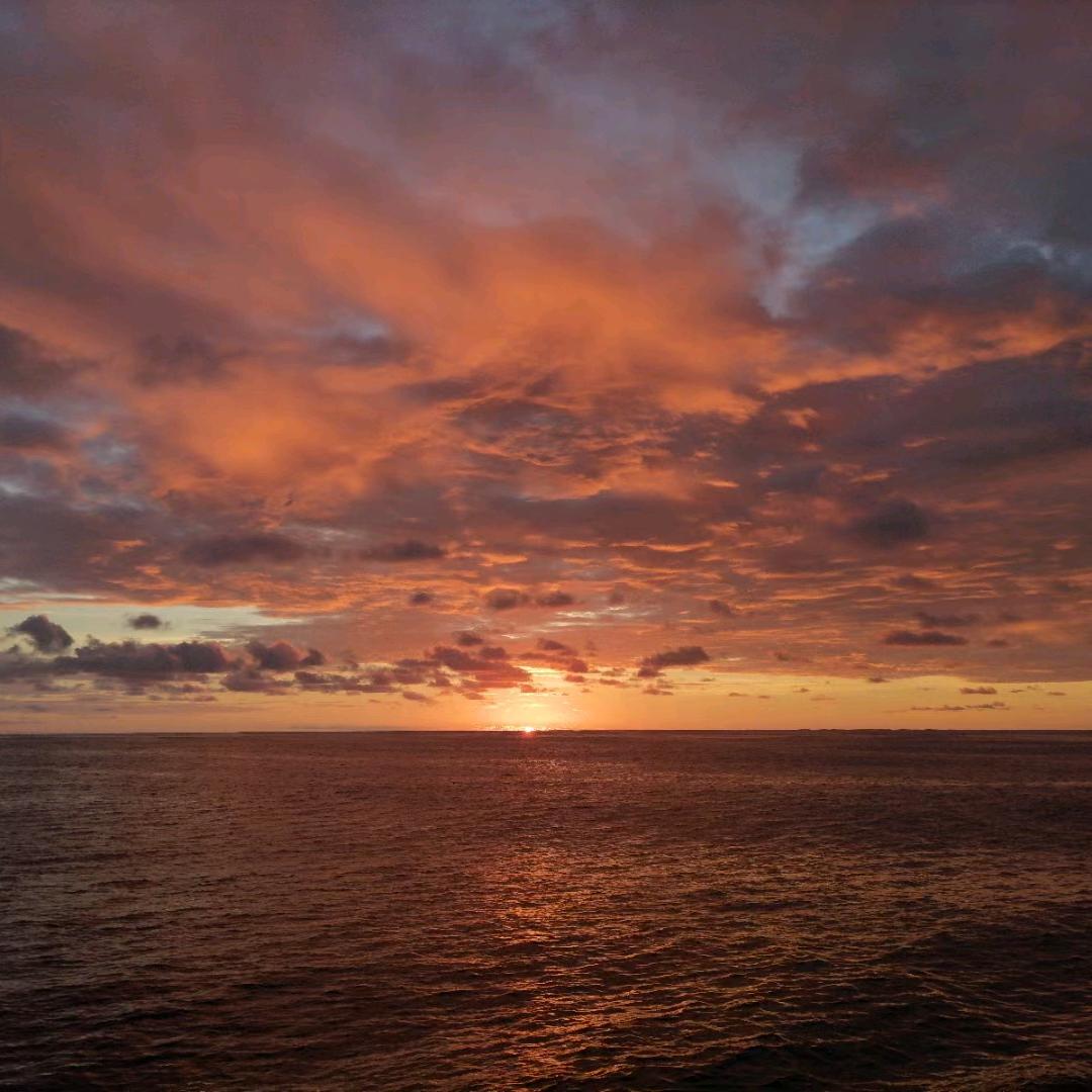 ☔️来了！老弟