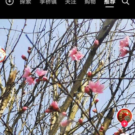 dy6kn3wl农村妺