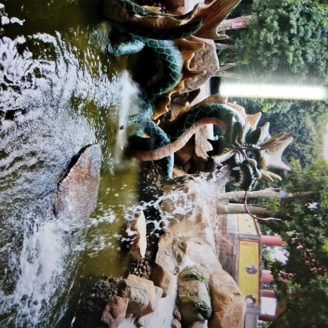 来来回回