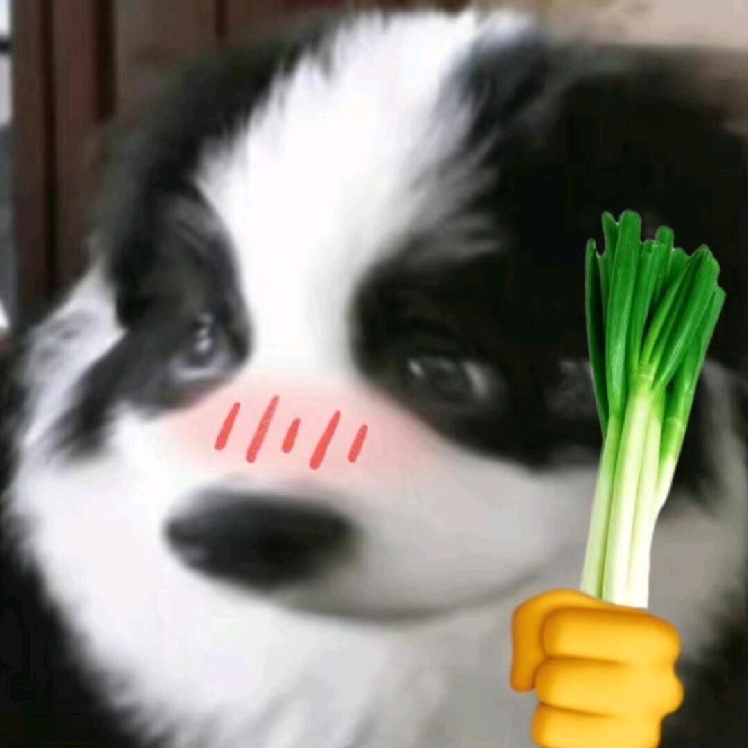 AAA厕所所长