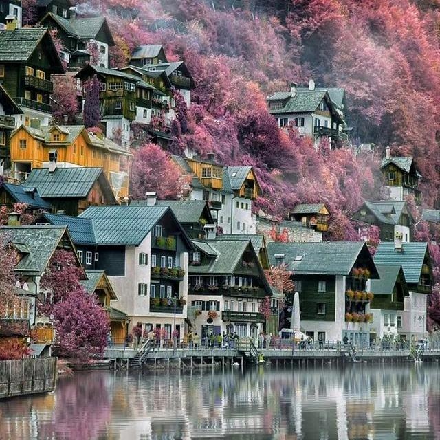 福满门原木定制 赵金龙