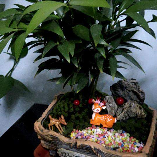 ☀㕾兪🍀滒滒🔥